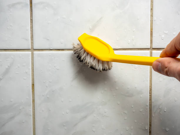 Best Commercial Mold Removal  in Dickinson, ND