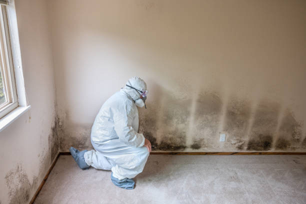 Water Damage Restoration in Dickinson, ND
